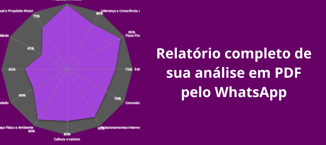Relat-rio-completo-.png